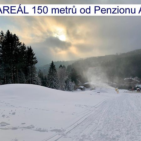 Penzion Alfa Železná Ruda Esterno foto