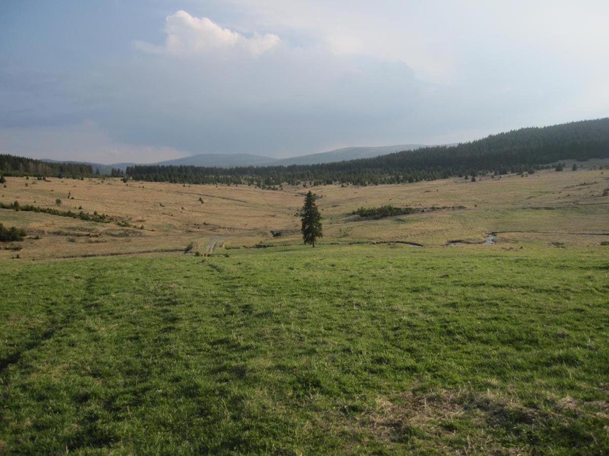 Penzion Alfa Železná Ruda Esterno foto