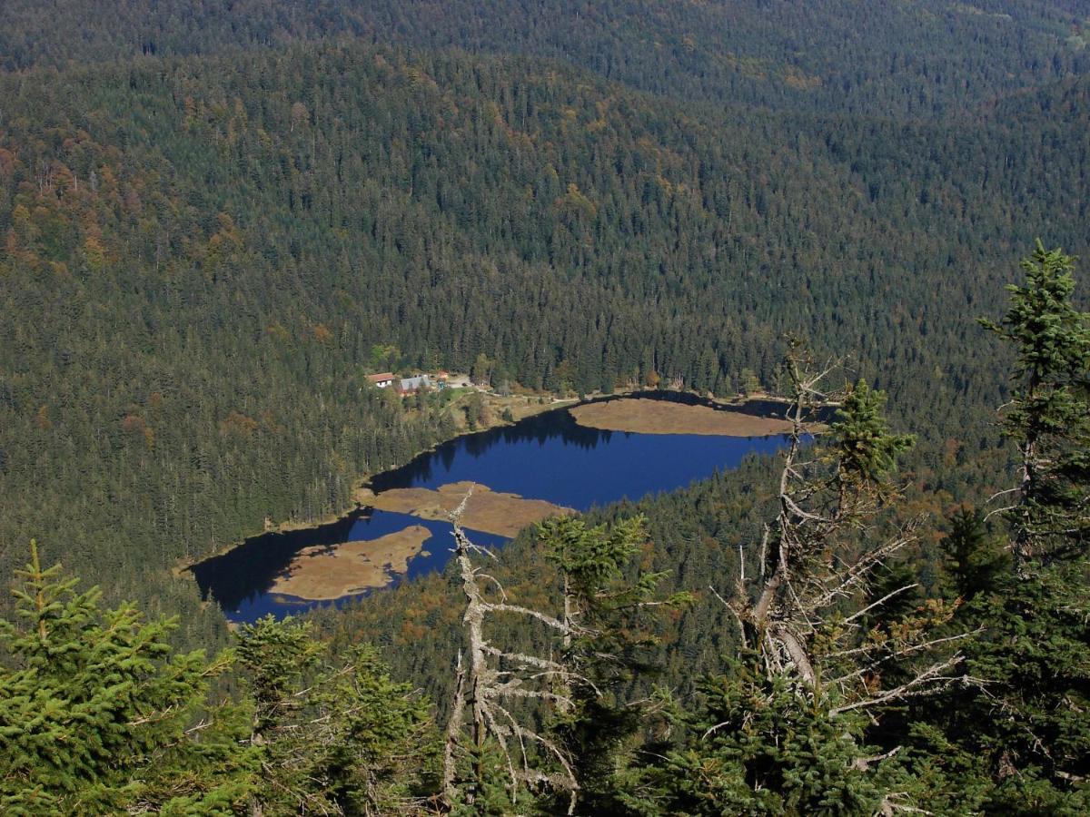 Penzion Alfa Železná Ruda Esterno foto