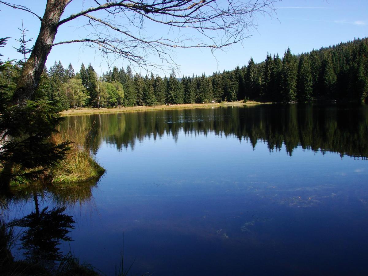 Penzion Alfa Železná Ruda Esterno foto