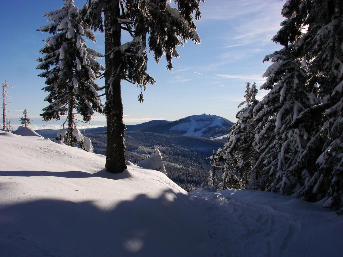 Penzion Alfa Železná Ruda Esterno foto