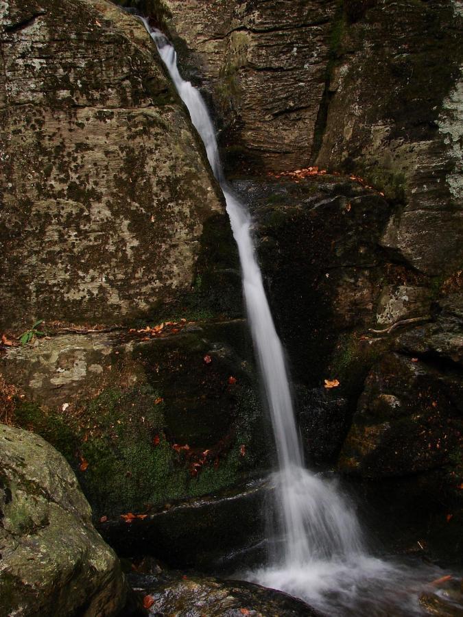 Penzion Alfa Železná Ruda Esterno foto
