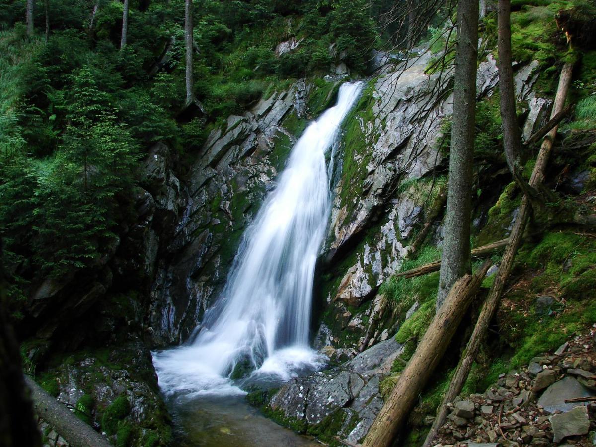 Penzion Alfa Železná Ruda Esterno foto