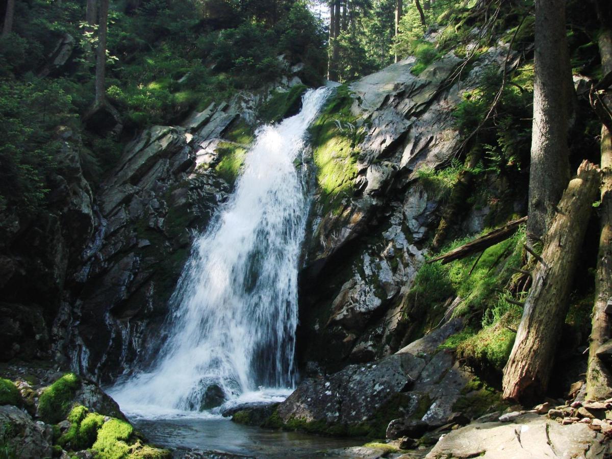 Penzion Alfa Železná Ruda Esterno foto