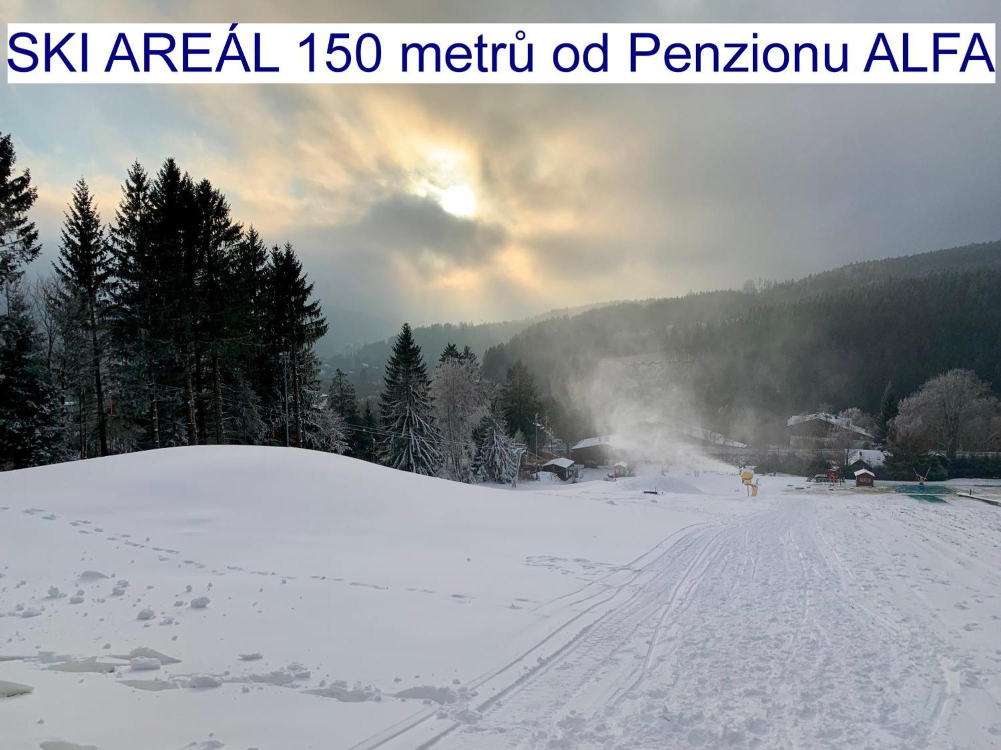 Penzion Alfa Železná Ruda Esterno foto